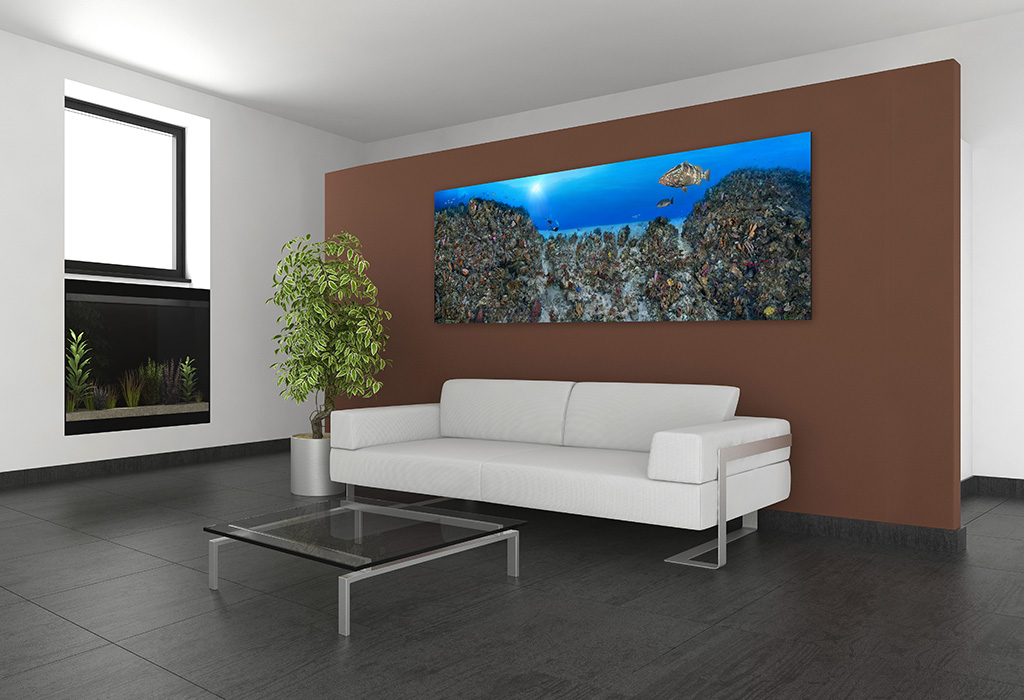 "Coral Anchors" – Image 3