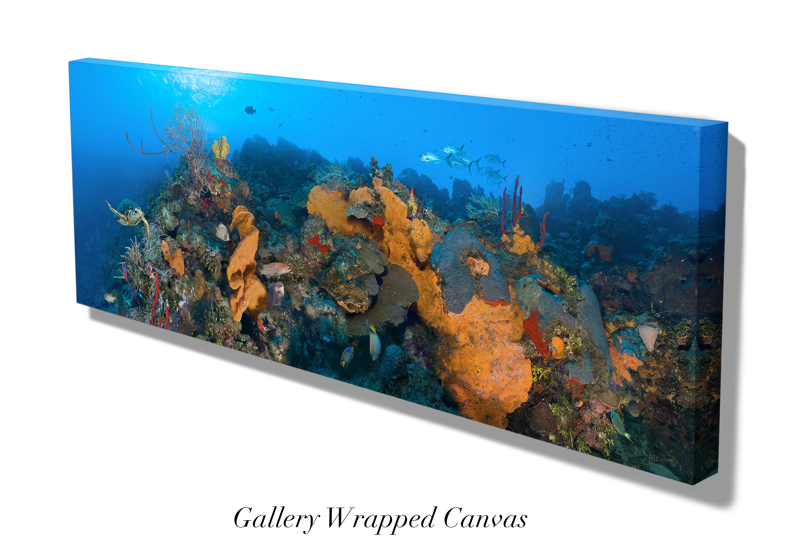 "Orange Canyon" – Image 7
