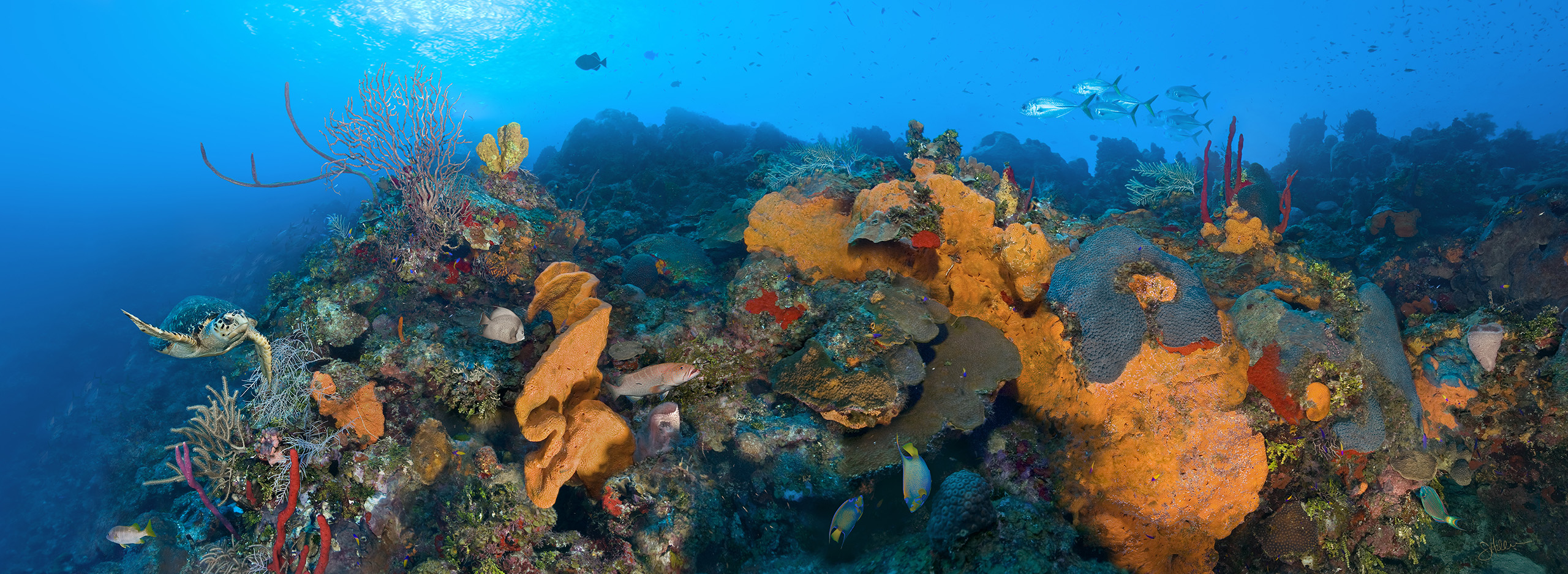 "Orange Canyon" – Image 5