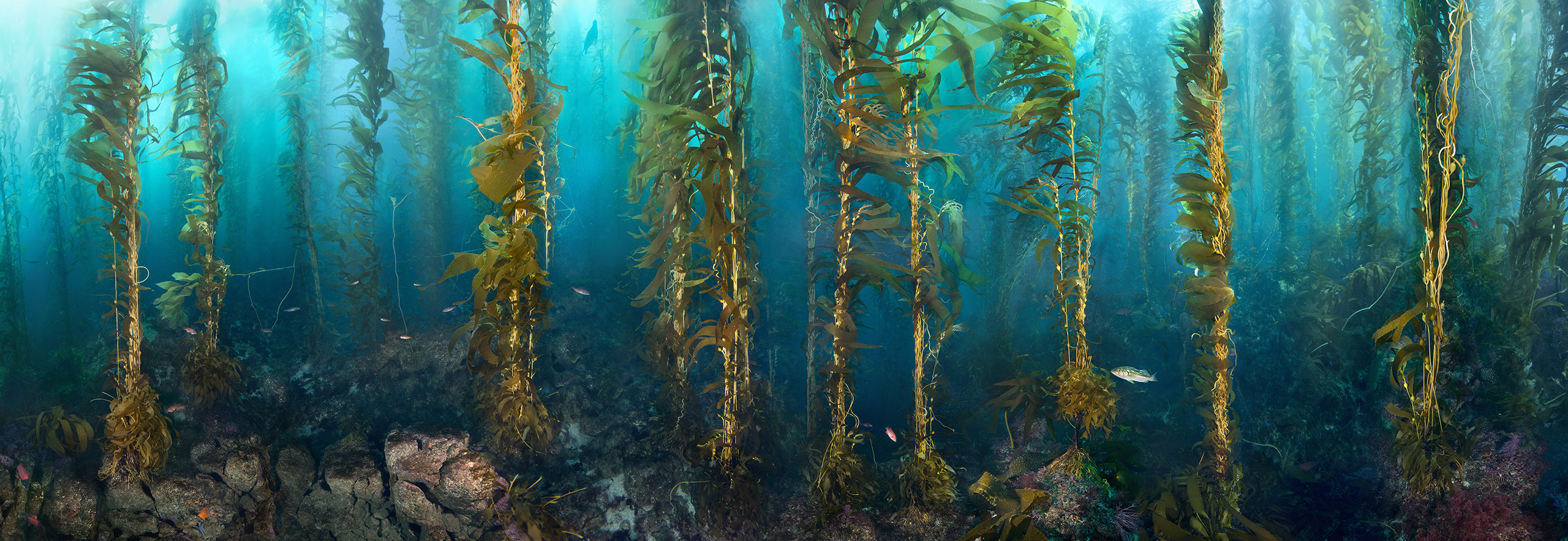 "Serenity" – Image 5