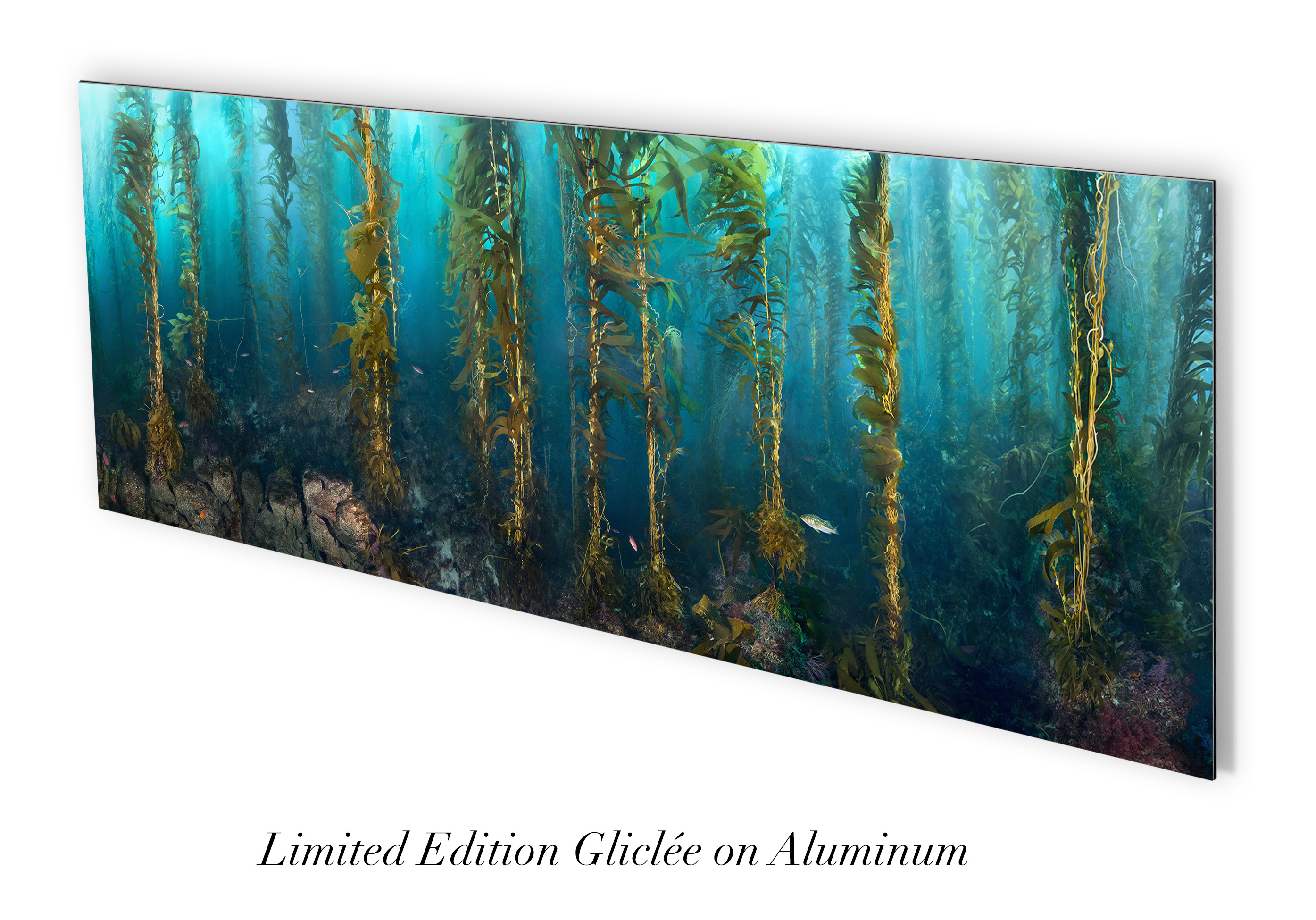 "Serenity" – Image 6