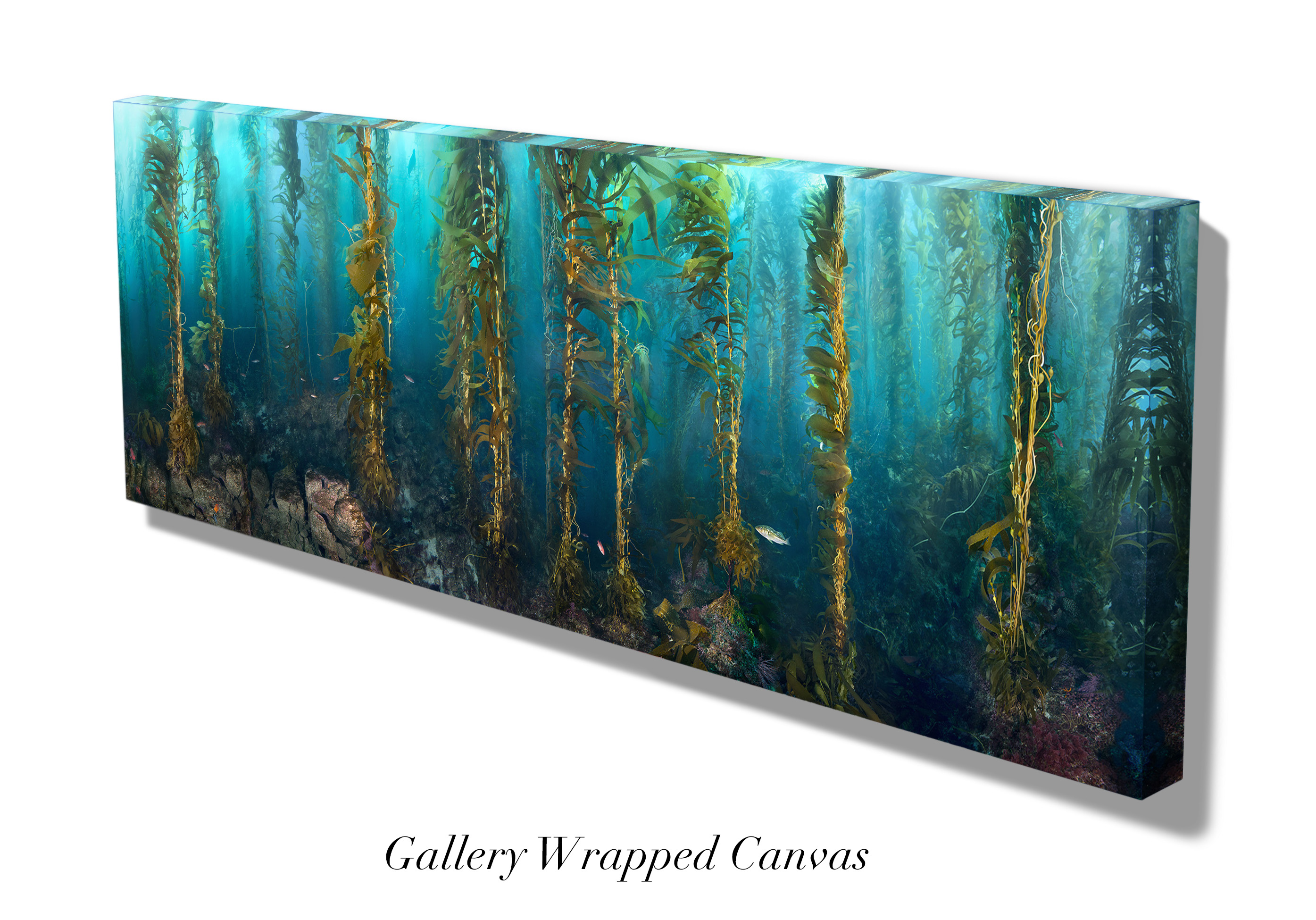 "Serenity" – Image 7