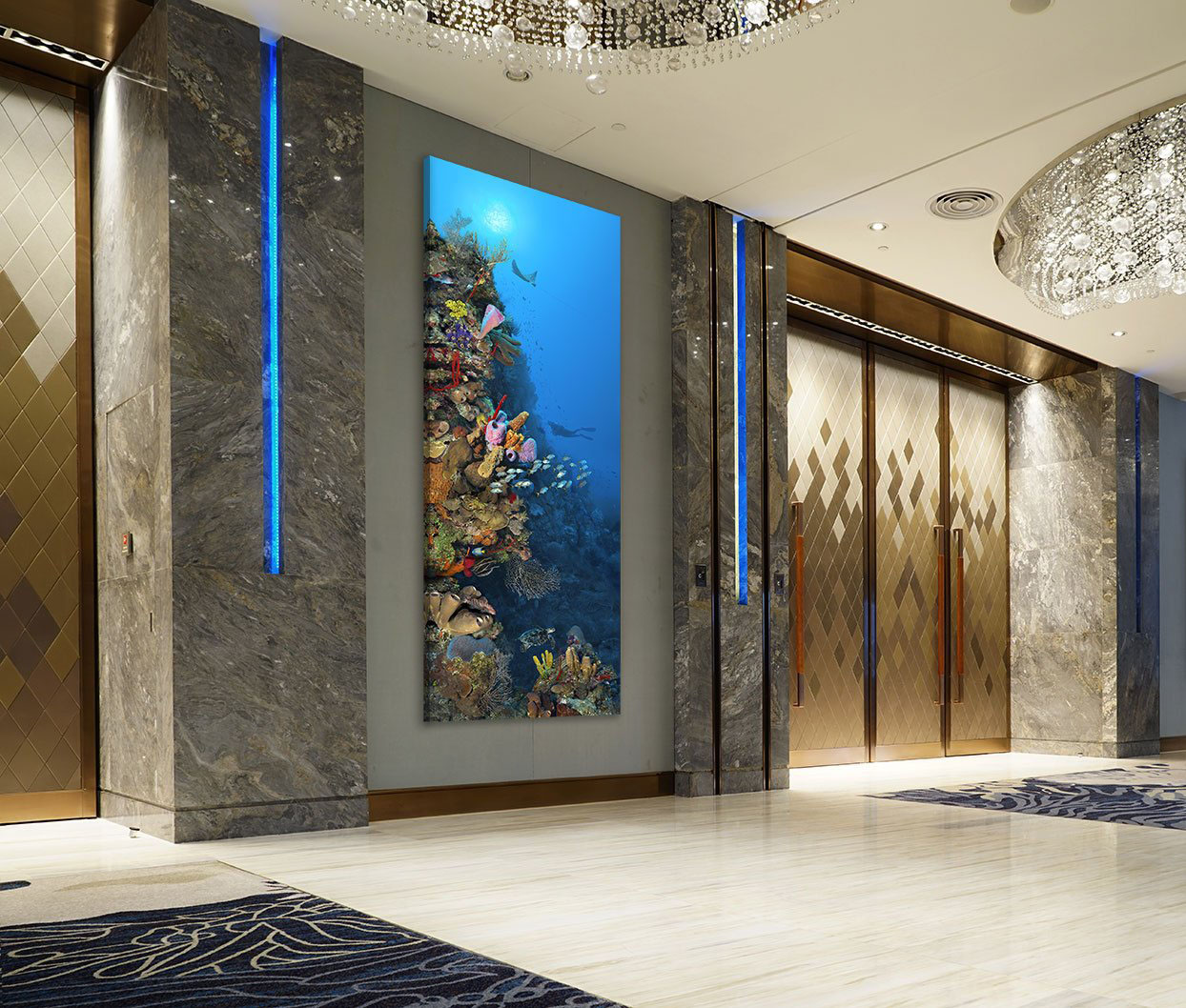 "Camana Bay Reef" – Image 5