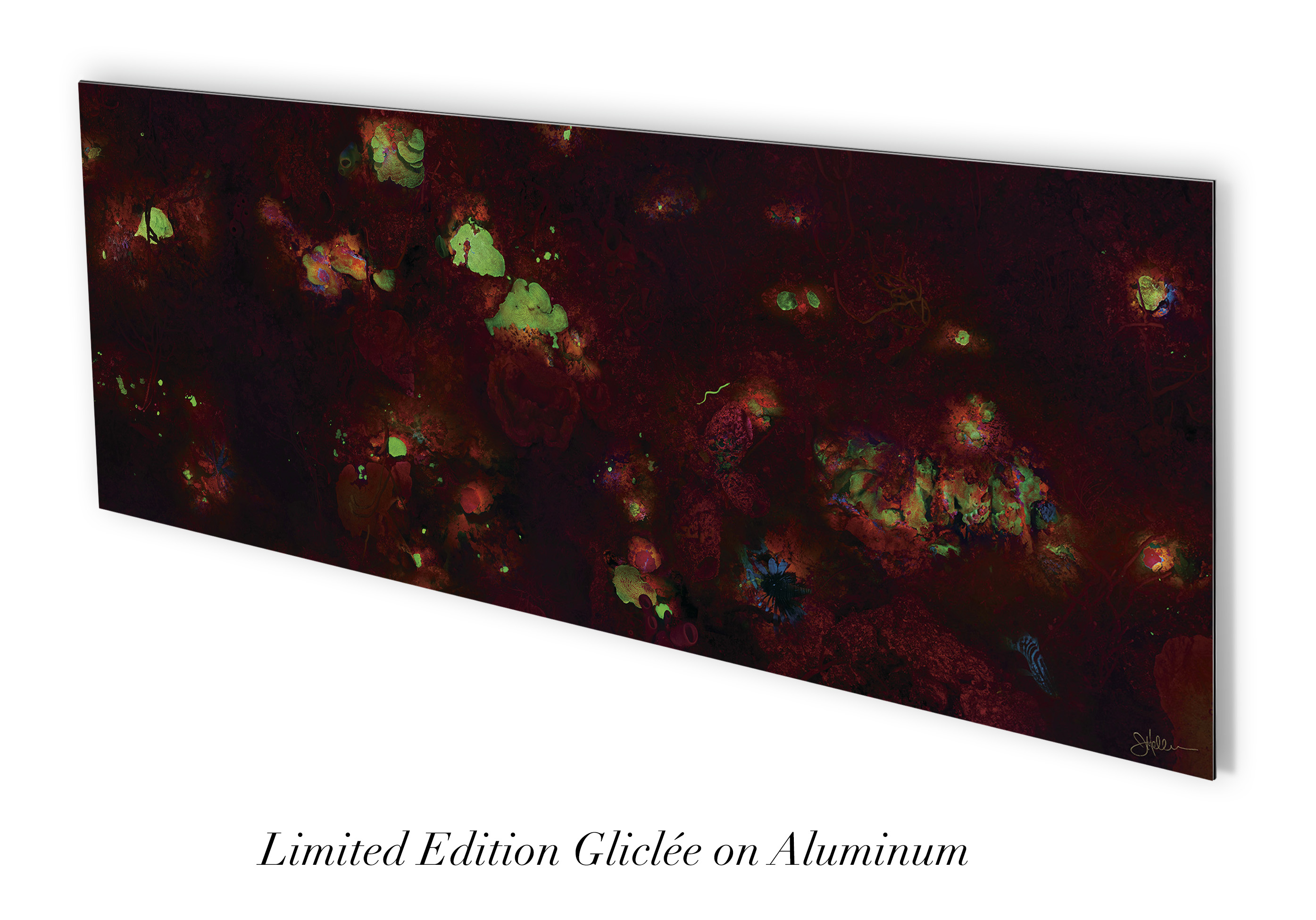 "Coral Fluorescence" – Image 5
