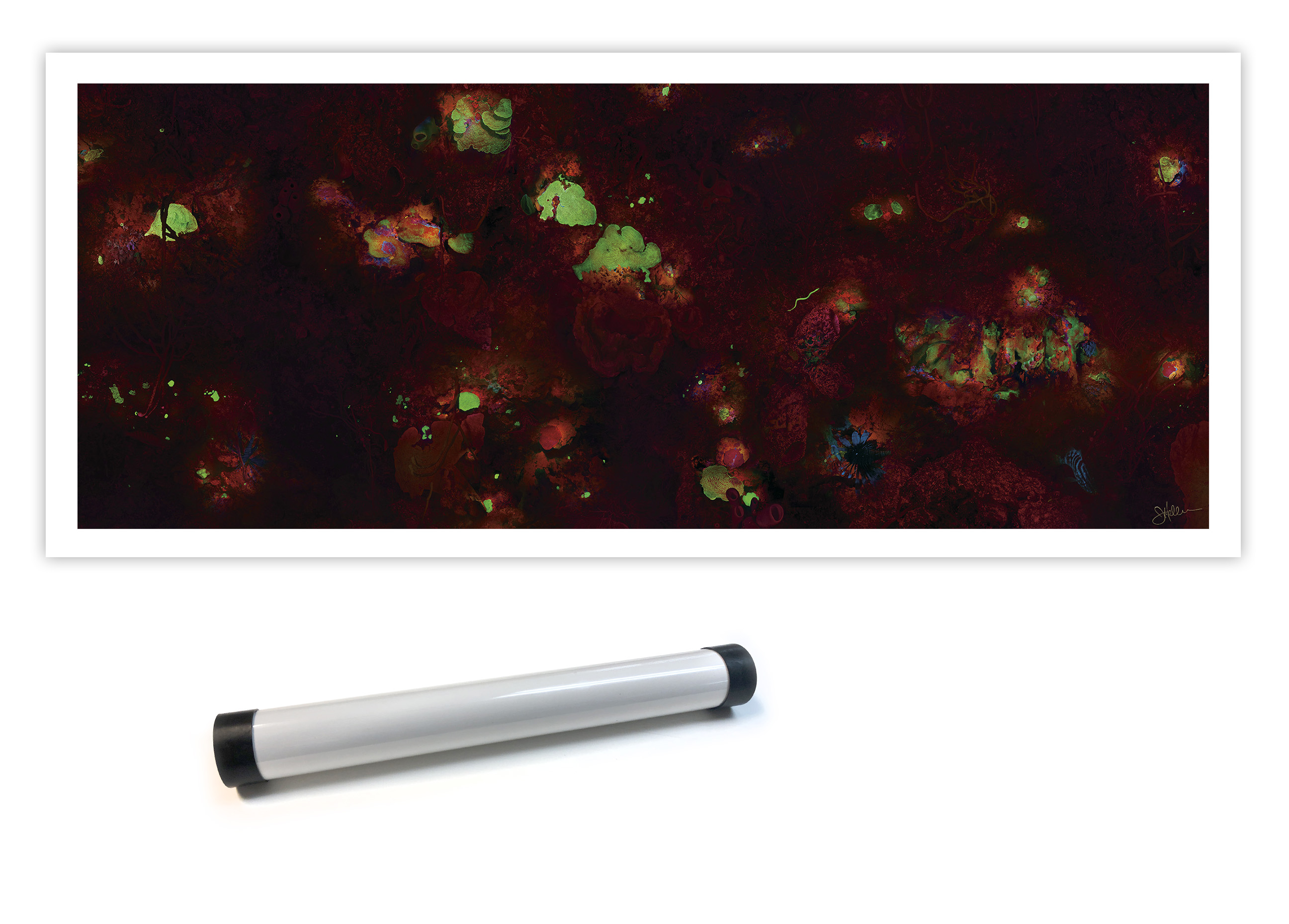 "Coral Fluorescence" – Image 6