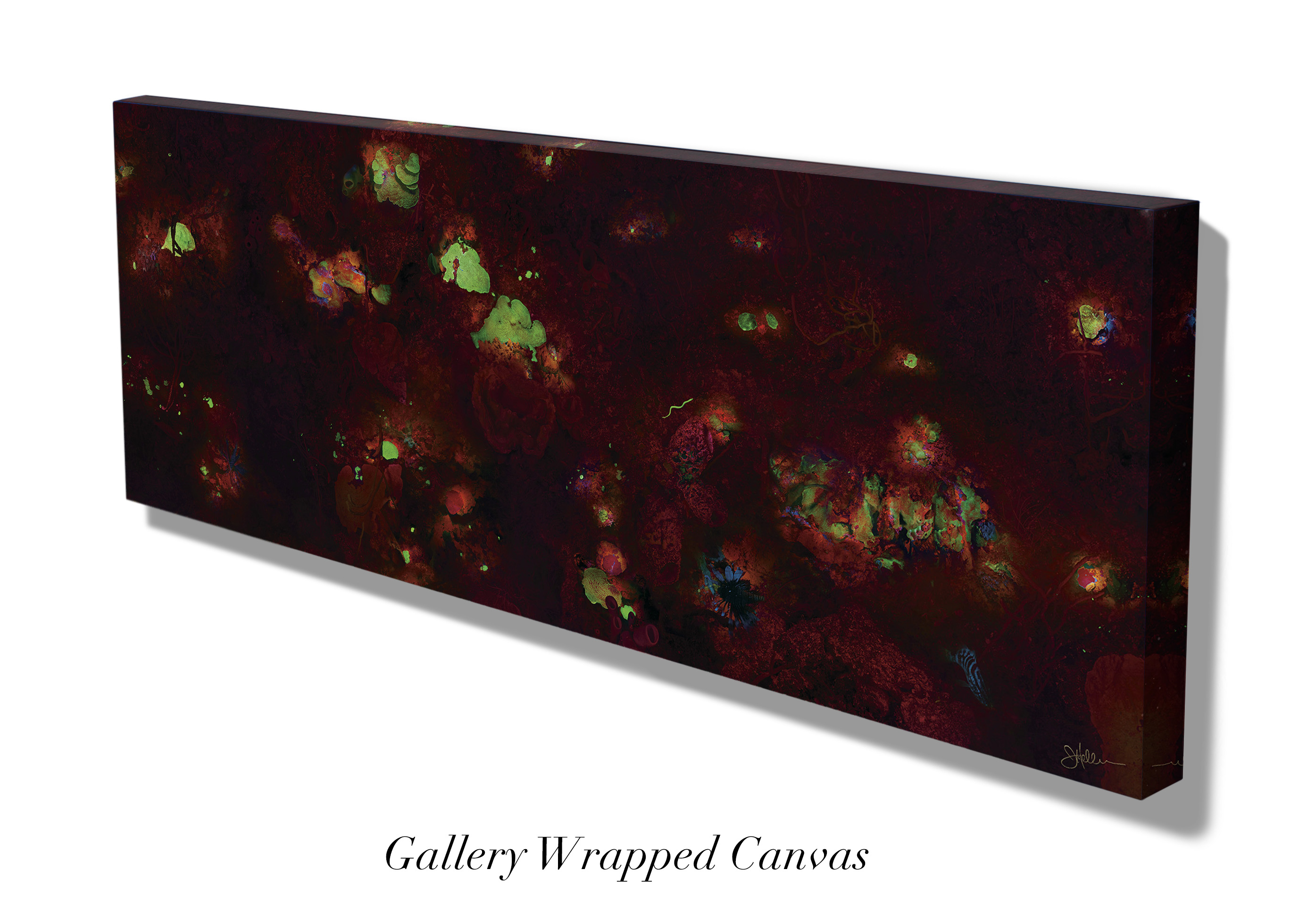 "Coral Fluorescence" – Image 4