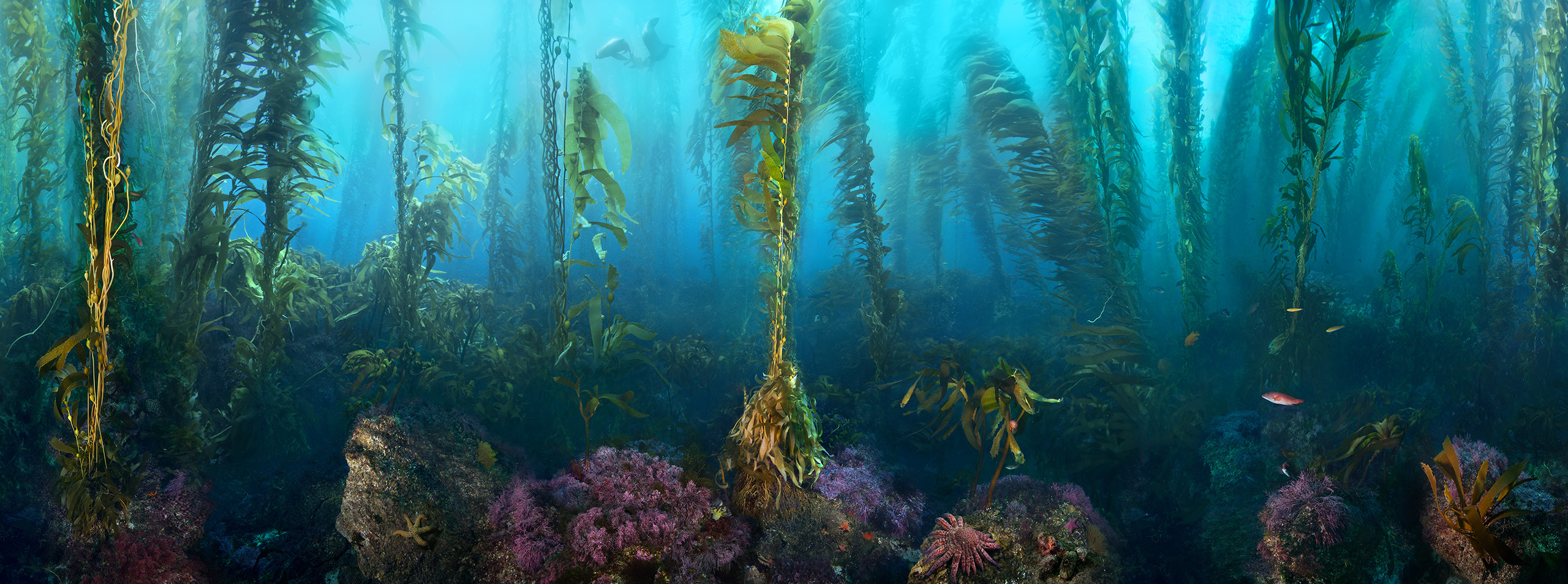 "Morning Calm" – Image 2