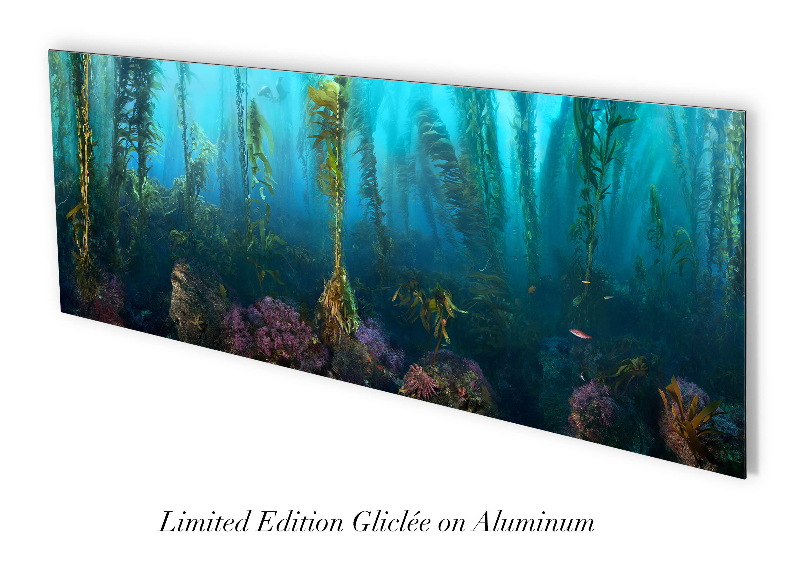 "Morning Calm" – Image 3