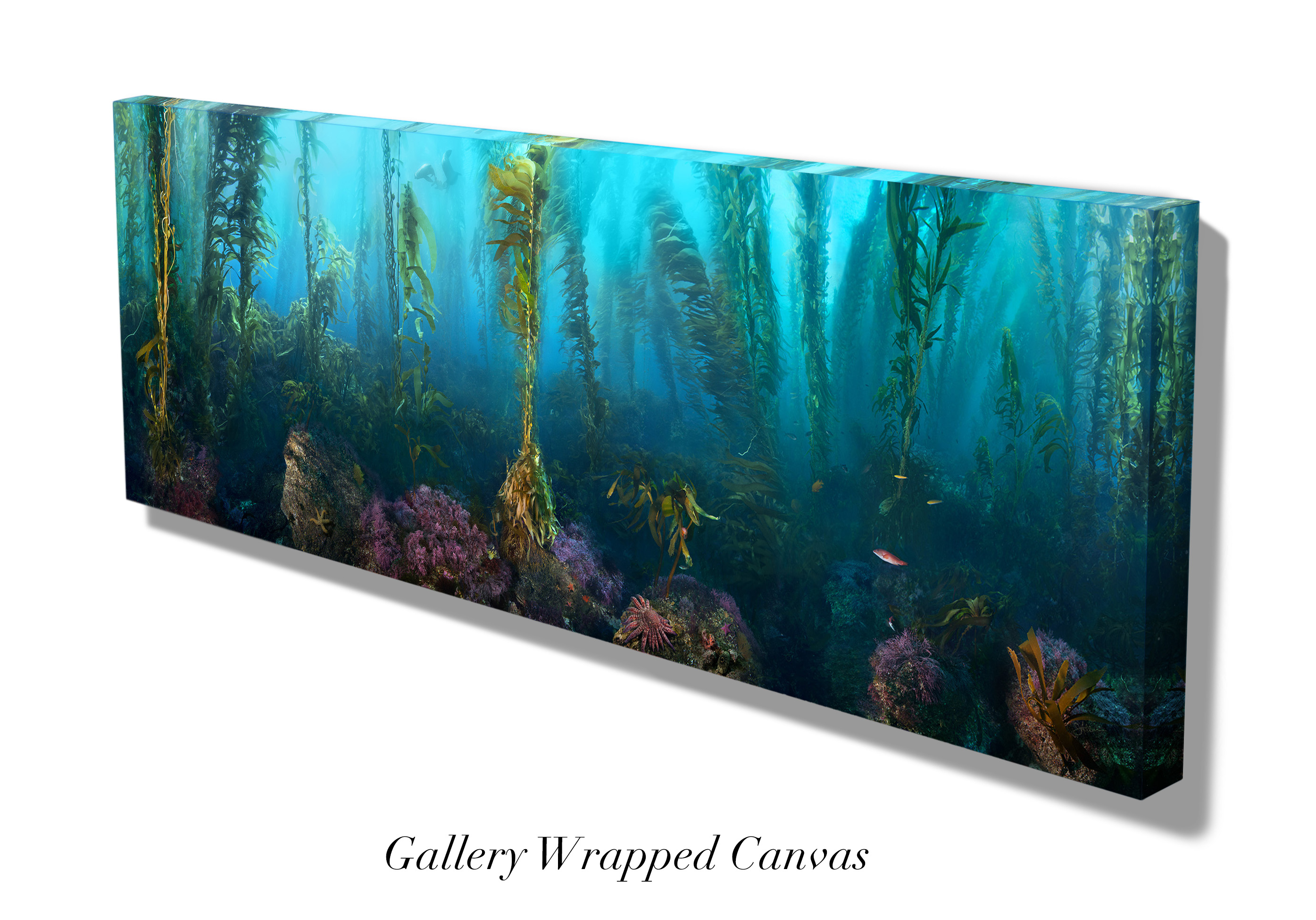 "Morning Calm" – Image 4