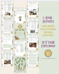 E-Book Wellbeing Practitioner Income Strategy – Image 2