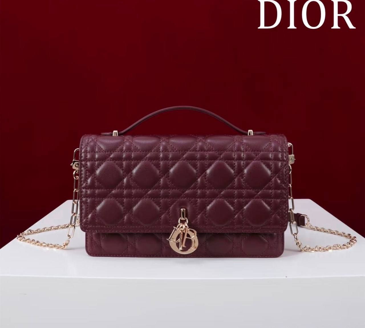 Chic "Lady Dior Elongated" Quilted Chain Crossbody Bag – Available in All Colors | D-E19 – Image 16