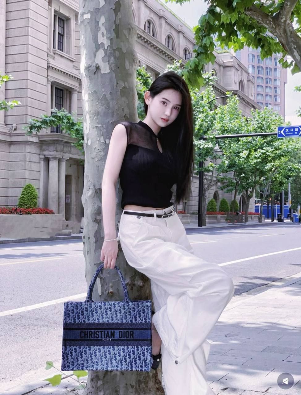 ✨ Elegant Dior Canvas Tote Bag ✨ | D-E19 – Image 2