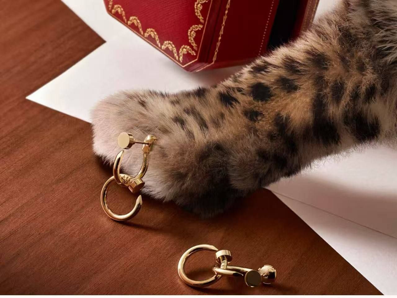 Cartier Nail Earrings for Women Copy One | Luxury Crystal Design & Fast Delivery UAE  | D-E26 – Image 3