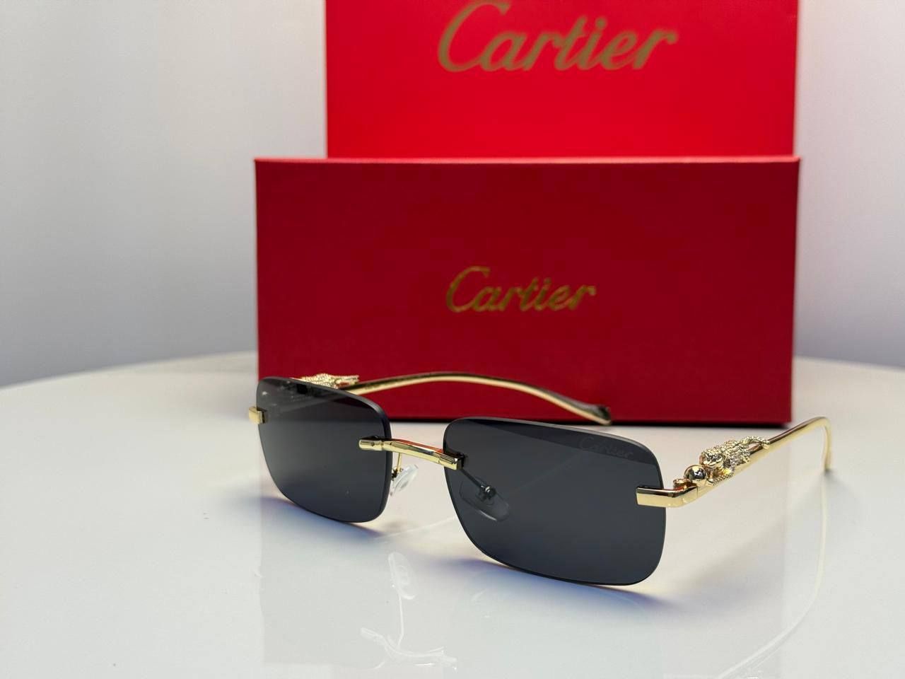 Premium Cartier Sunglasses Collection (High-Quality Copy One) – The Ultimate Statement of Luxury & Prestige | D-E45 – Image 17