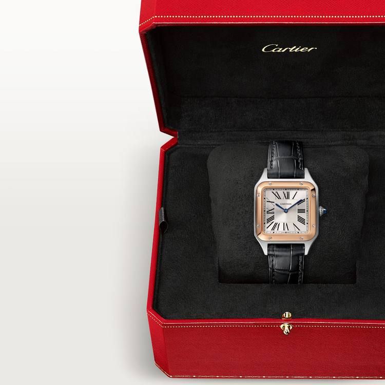 Cartier Santos High Master Leather Strap Watch | Luxury & Style | UAE | D-E56 – Image 8