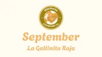 Spanish Curriculum Videos  – Image 1