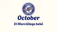 Spanish Curriculum Videos  – Image 2