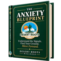 Anxiety Blueprint – Image 1