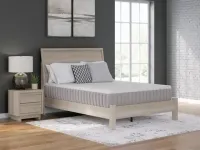 Terra Sleep Medium California King Mattress – Image 1