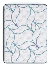 Limited Edition Plush 3.0 Queen Mattress – Image 1