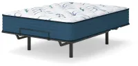 Limited Edition Plush 3.0 Queen Mattress – Image 3