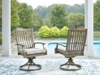 Rainier Ranch Swivel Chair w/Cushion (2/CN) – Image 1