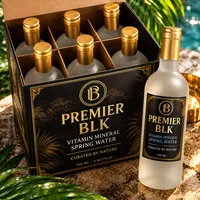 PREMIER BLK — Vitamin Mineralized Spring Water | 6-Pack – Image 1