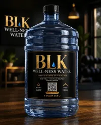 BLK WELL-NESS | 4 × 1-Gallon Water Pack – Image 1