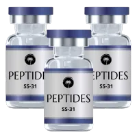 SS-31 Peptide (r) – Image 1