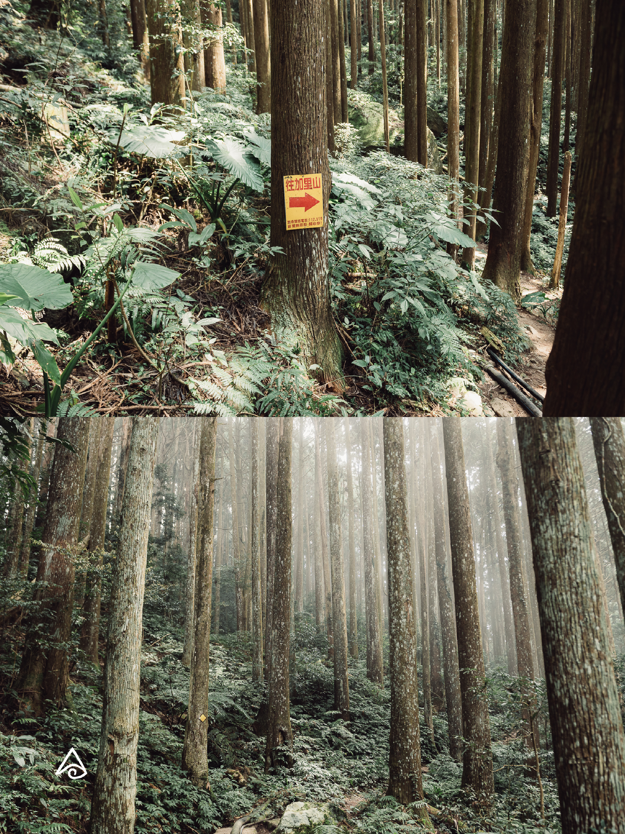 9/20 加里山｜一日登山 – Image 10