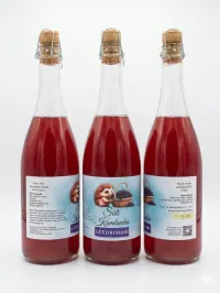 Kombucha 750 ml – Image 4