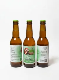 Kombucha 330 ml – Image 1