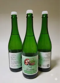 Kombucha 750 ml – Image 1