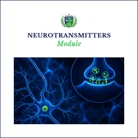 Neurotransmitters Module – Image 1