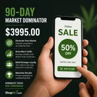 90-Day Market Domination Plan – $3,995 – Image 1