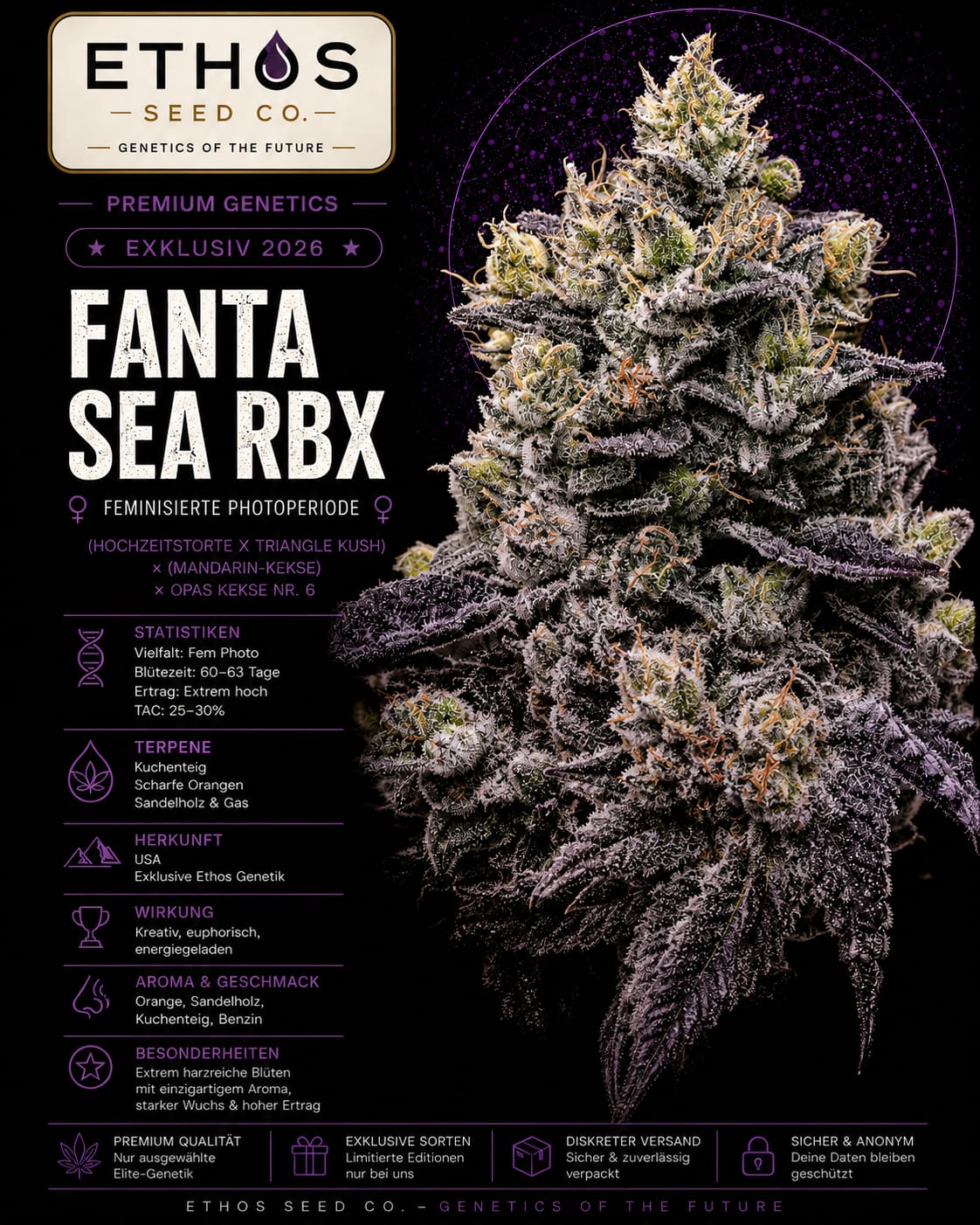 Fanta SEA RBx – Image 1