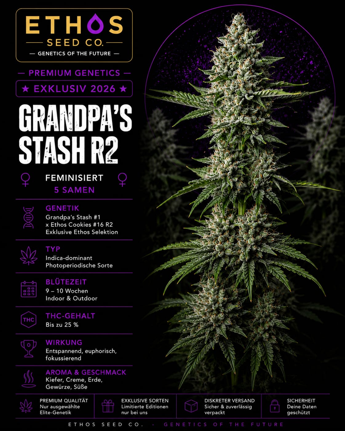 Grandpa's Stash R2 – Image 1