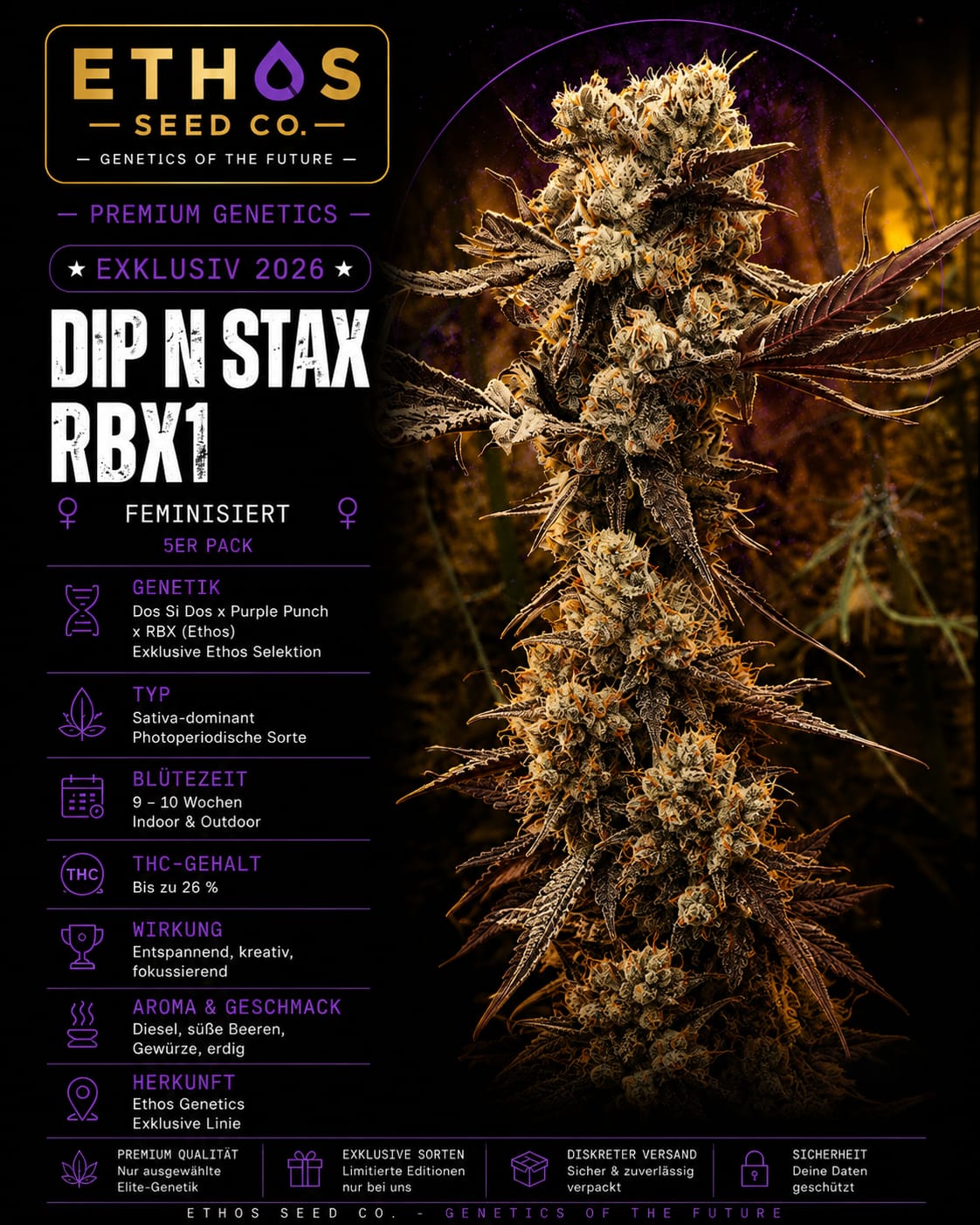 Dip N Stax RBx1 – Image 1