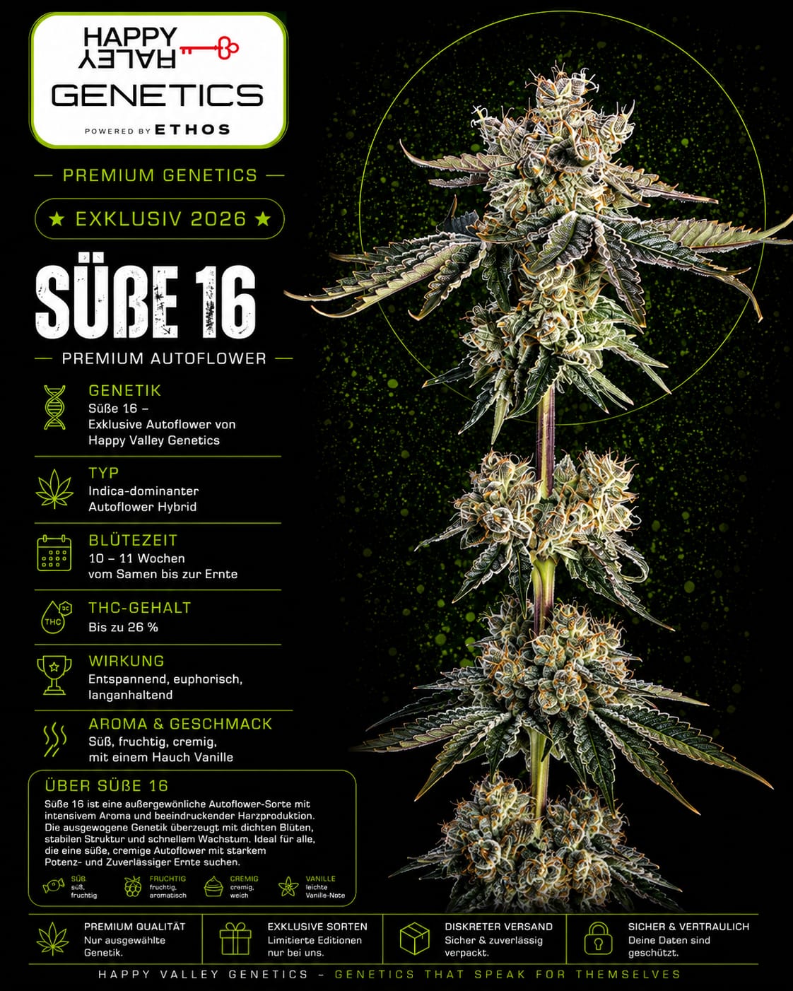 Sweet 16 – Image 1