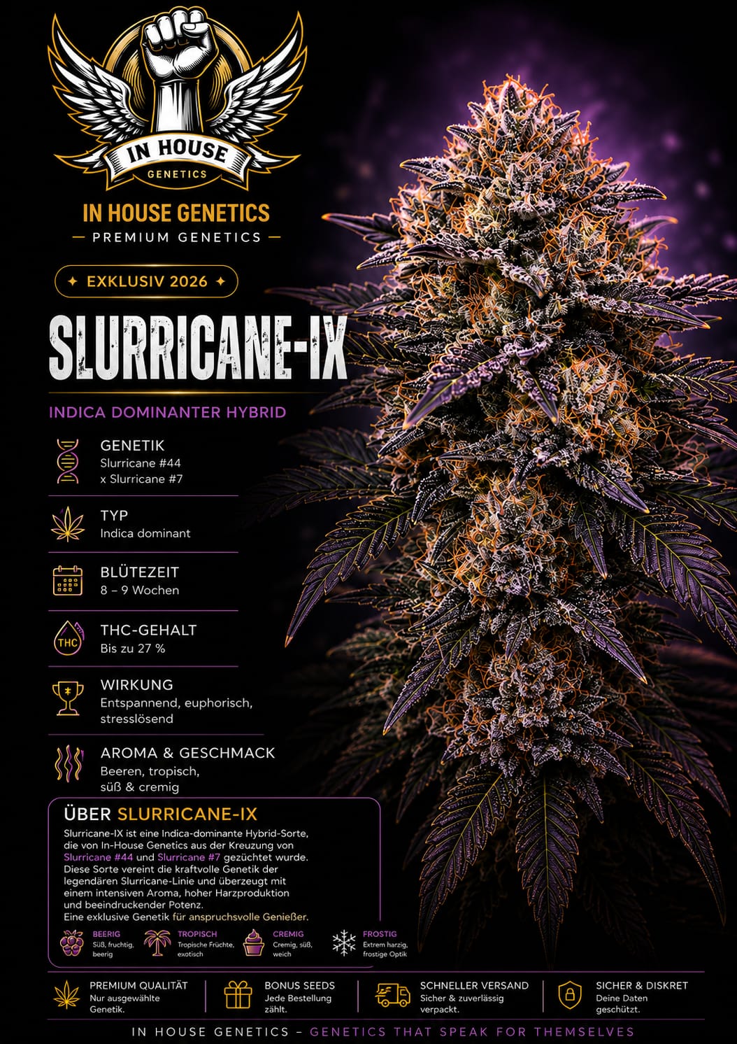 Slurricane IX – Image 1