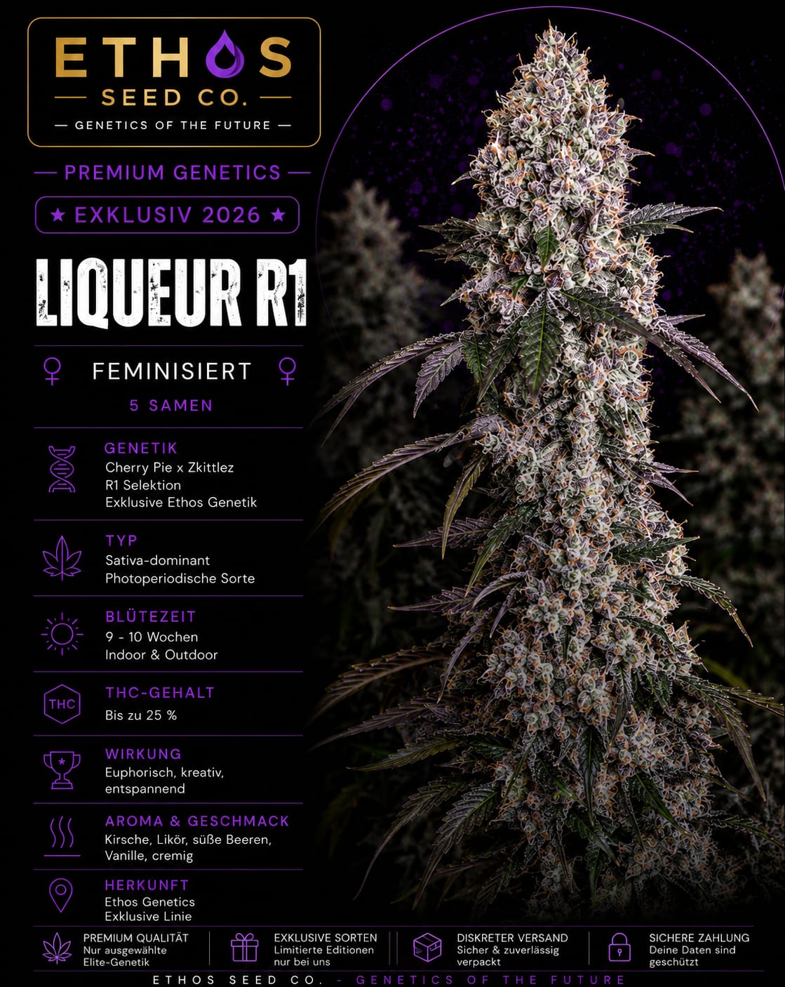 Liquer R1 – Image 1