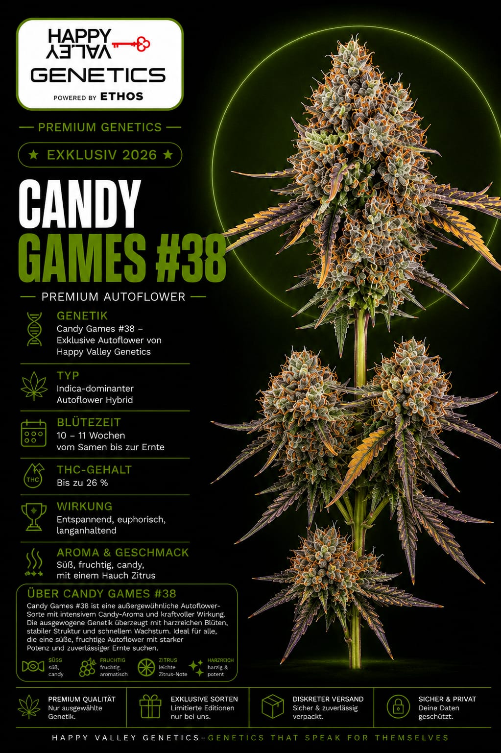 Candy Games #38 – Image 1