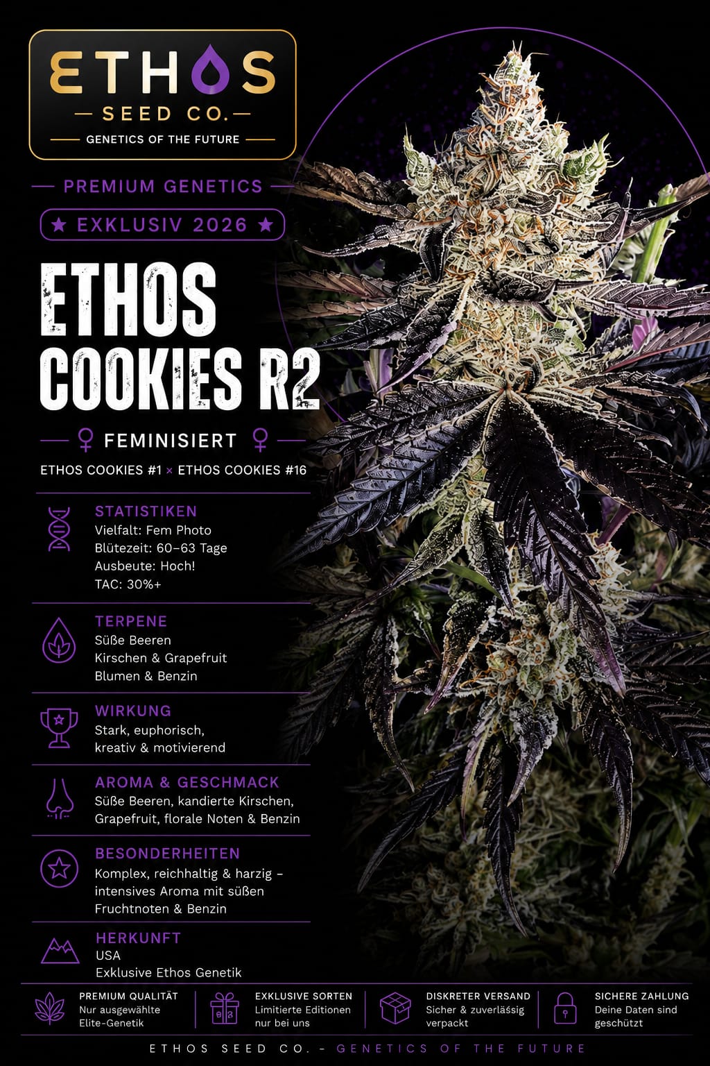 Ethos Cookies R2 – Image 1