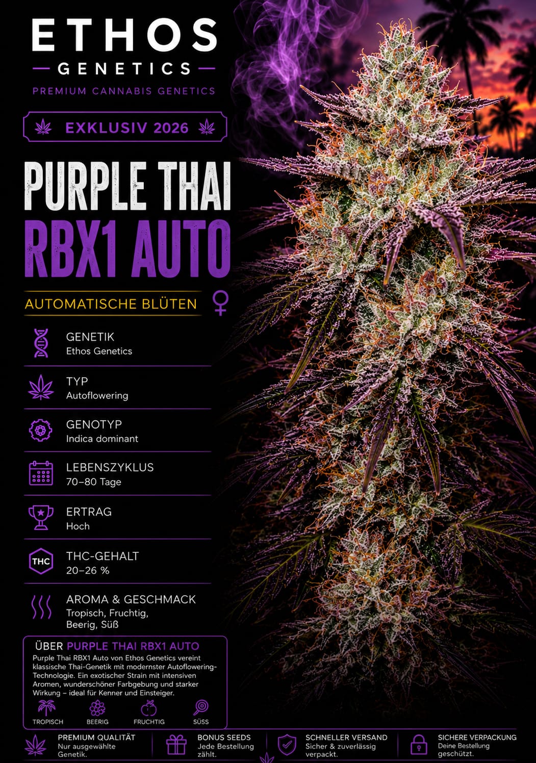 Purple Thai RBx1 Auto – Image 1