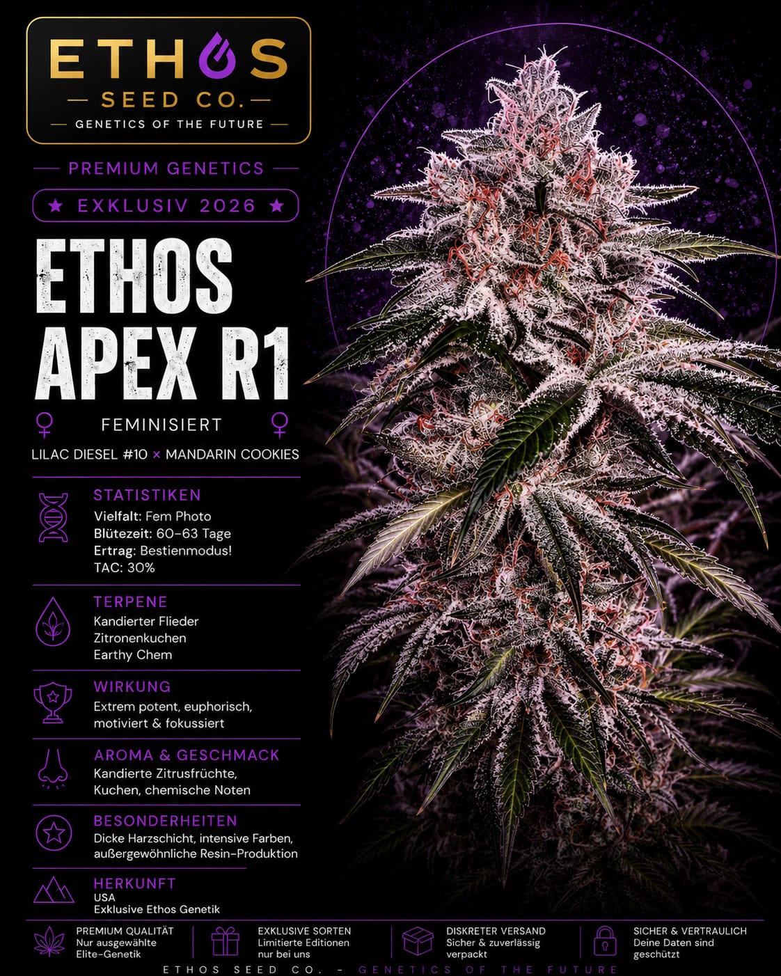 Ethos Apex R1 – Image 1