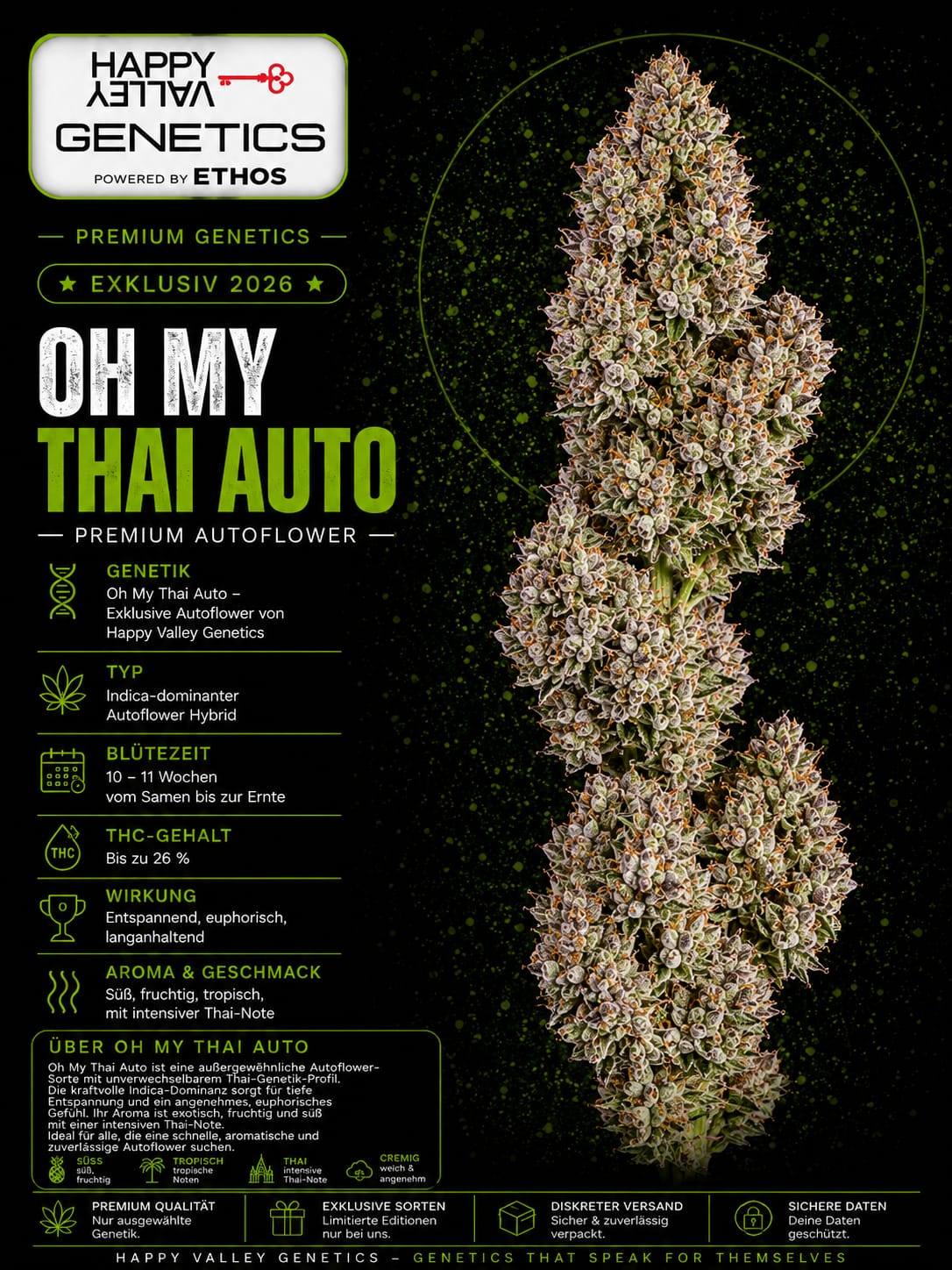 Oh My Thai Auto – Image 1