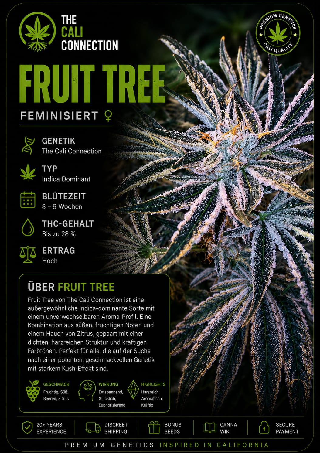 Fruit Tree – Image 1