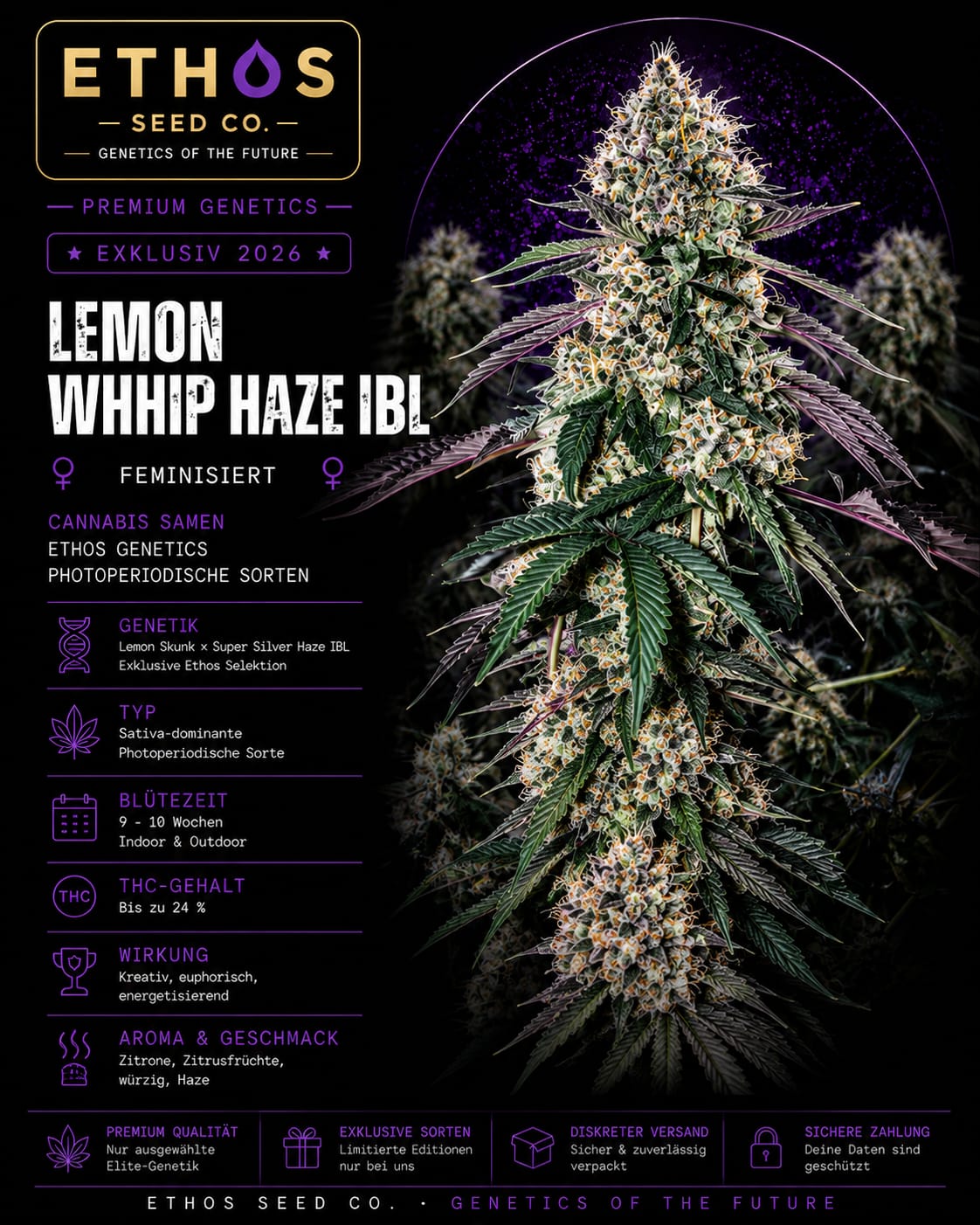 Lemon Whhip Haze IBL – Image 1