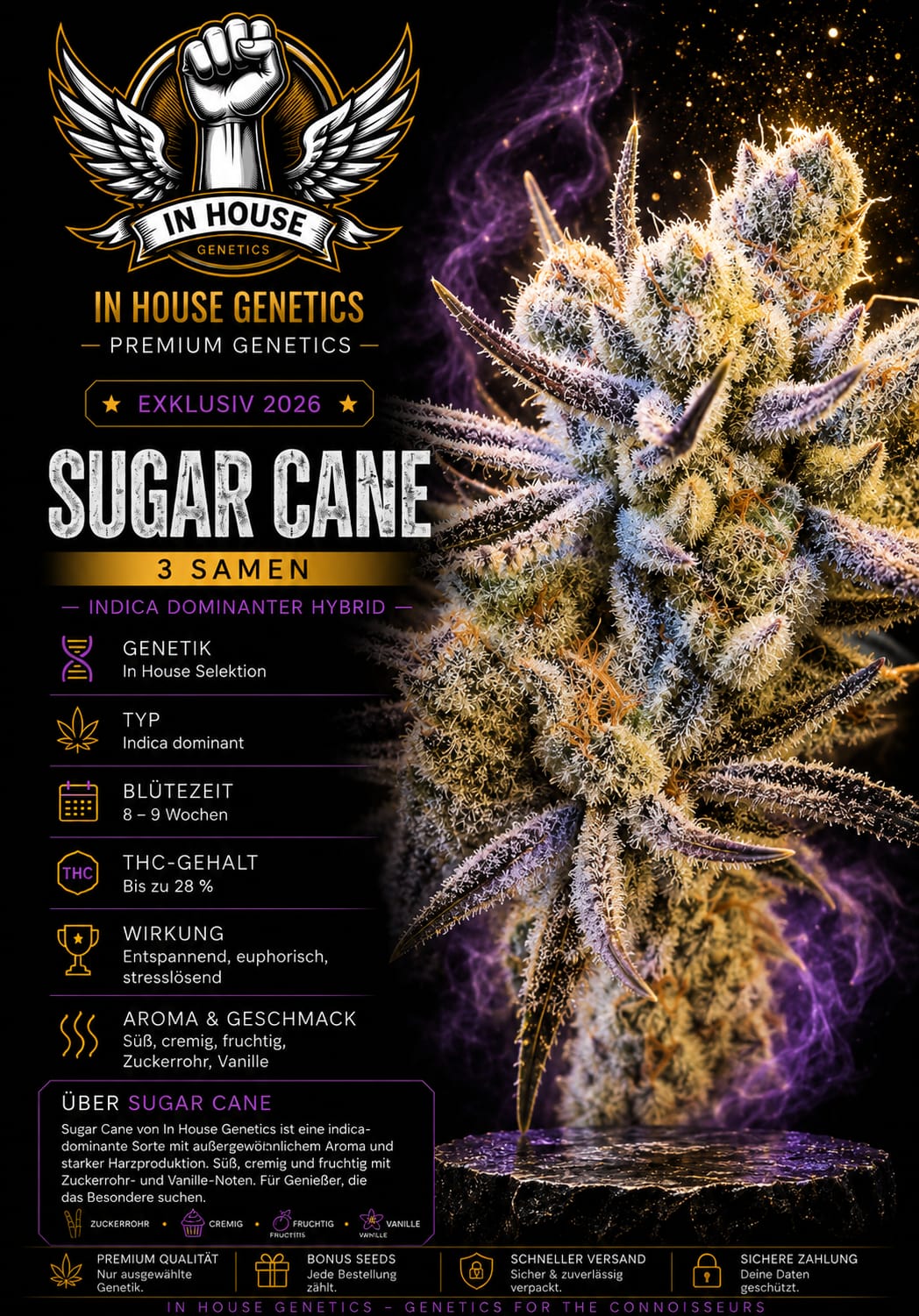 Sugar Cane V3 – Image 1