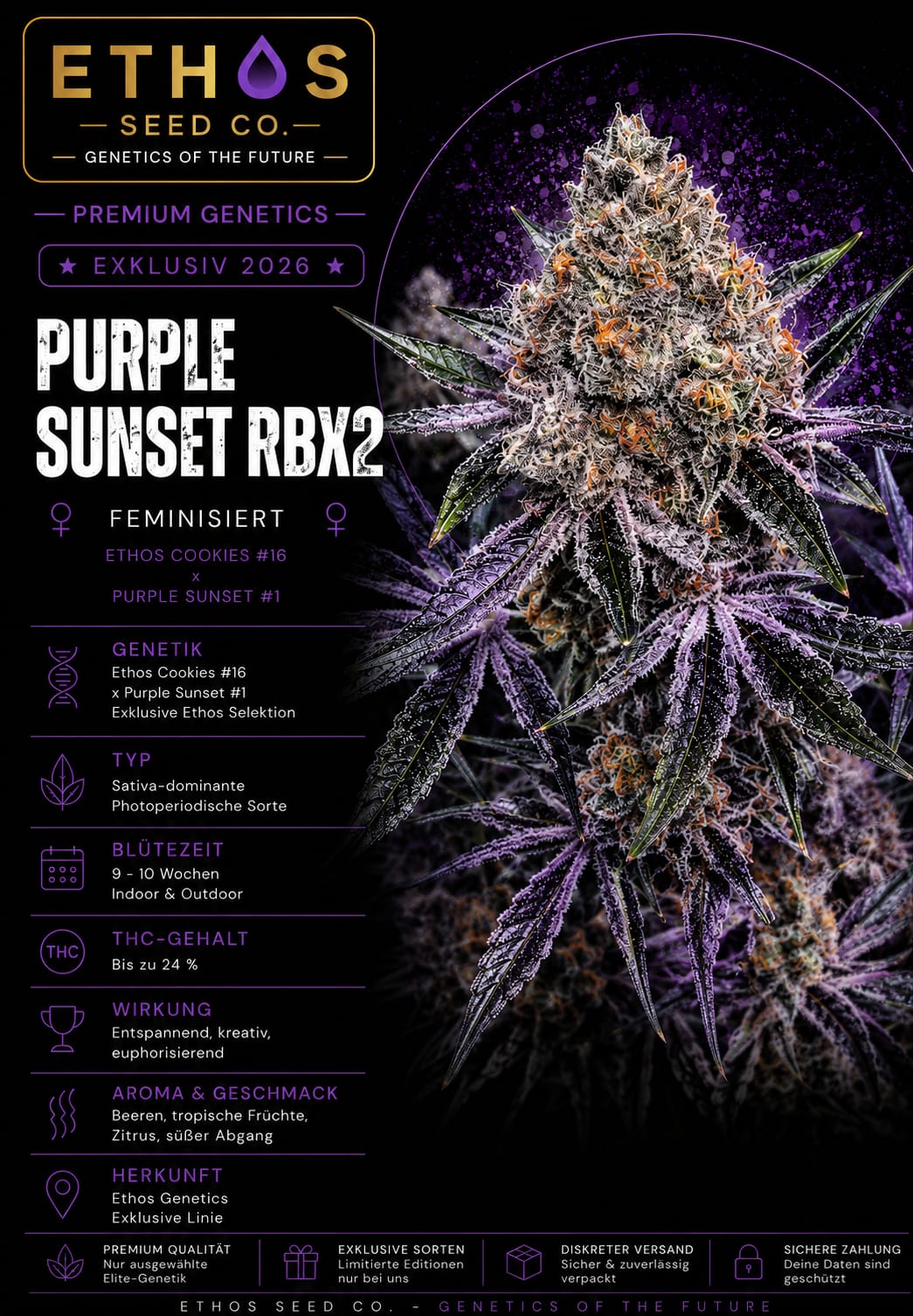 Purple Sunset RBx2 – Image 1